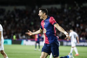 kaiyun-莱万多夫斯基个人简介