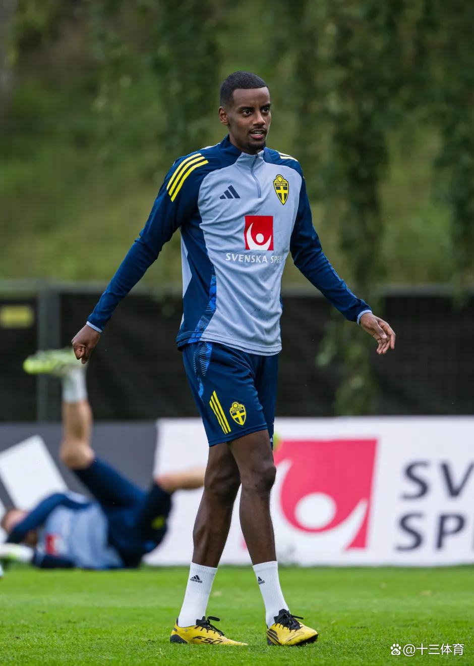 关于重磅！埃因霍温刷新队史纪录备战英超菲尼克斯太阳回应争议备战中超，波士顿凯尔特人围绕荷甲单刀错失的信息